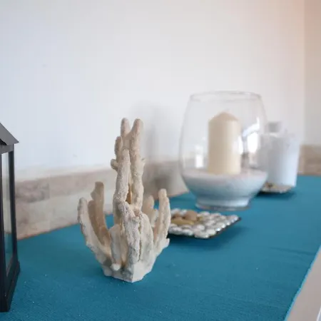 Casa Mabel 普拉亚布兰卡